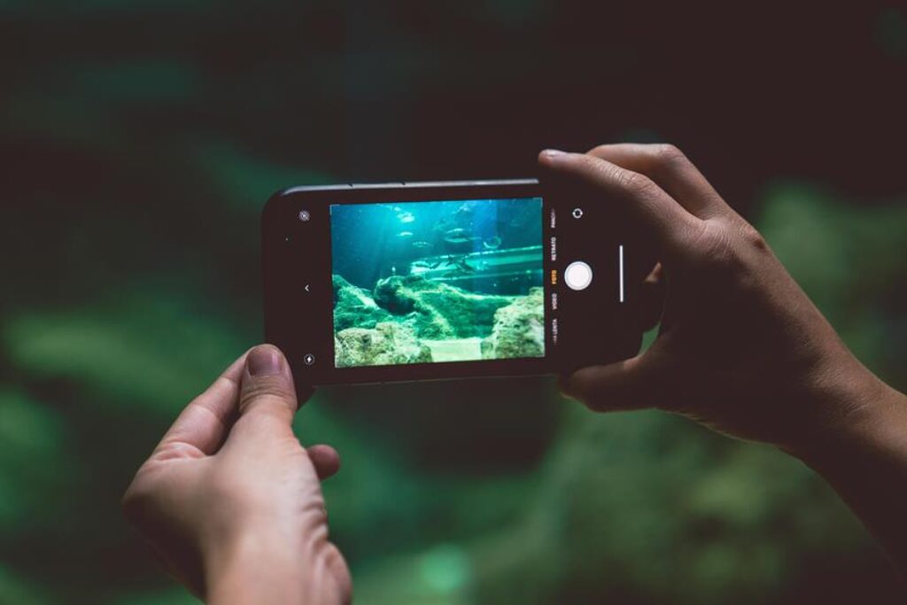 How Do Underwater Cameras Work, and Are They Worth Buying? How Do Underwater Cameras Work, and Are They Worth Buying?